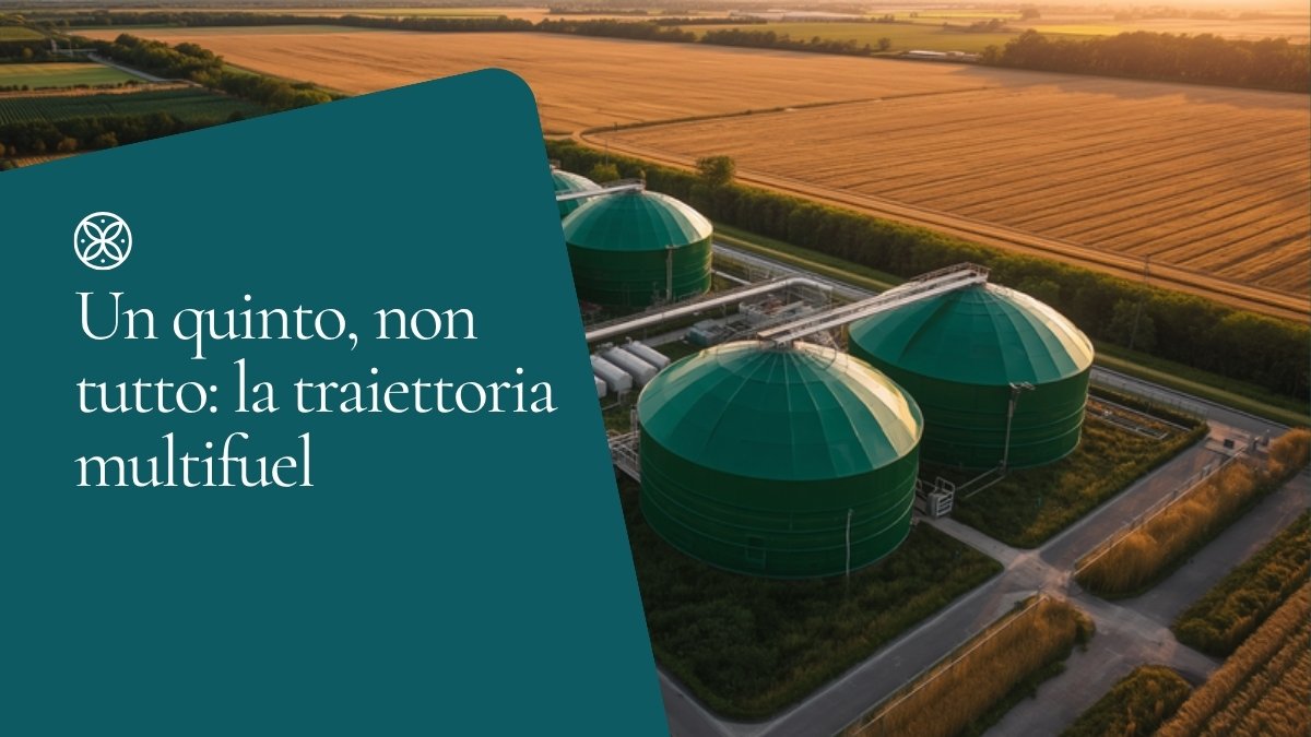Impianto di biometano con digestori tra campi di grano visto dall’alto