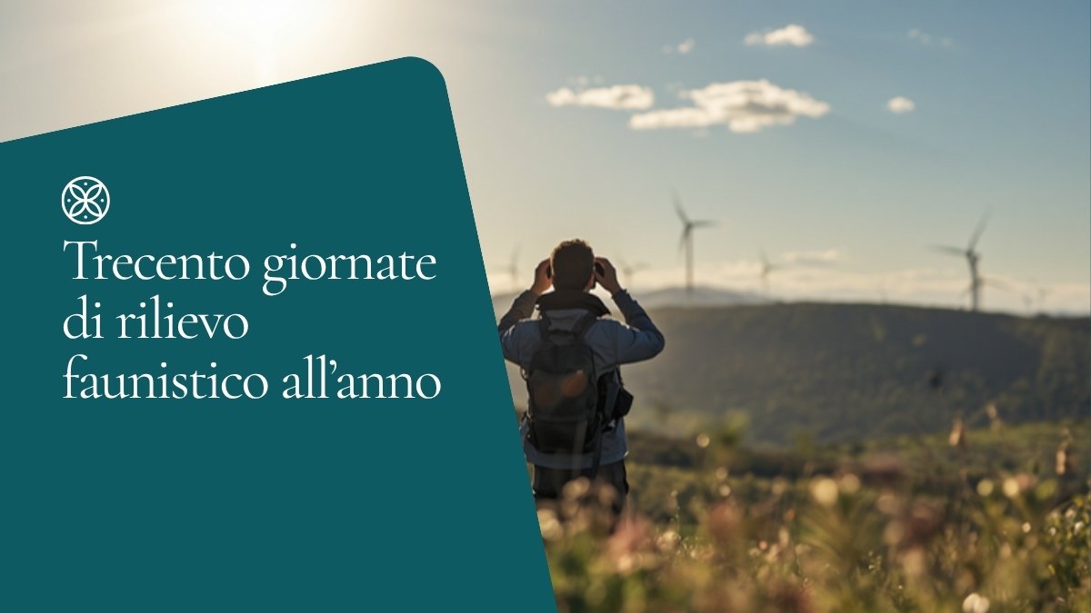 Naturalista con binocolo in campagna, pale eoliche sullo sfondo